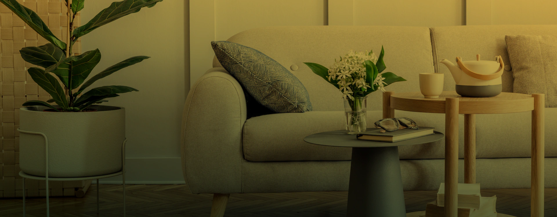 furnitures in an elegant living room